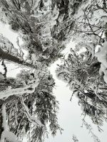 Syöte, Finnland &ndash; &copy; Manuel González Urrutia (Eberhardt TRAVEL)