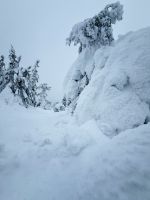 Syöte, Finnland &ndash; &copy; Manuel González Urrutia (Eberhardt TRAVEL)