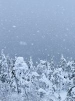 Syöte, Finnland
