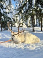 Kuusamo, Finnland