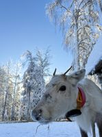 Kuusamo, Finnland