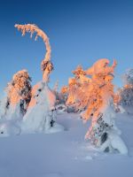 Syöte, Finnland &ndash; &copy; Manuel González Urrutia (Eberhardt TRAVEL)