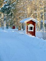 Ranua, Finnland &ndash; &copy; Manuel González Urrutia (Eberhardt TRAVEL)