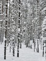 Pernu, Finnland &ndash; &copy; Manuel González Urrutia (Eberhardt TRAVEL)