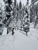 Korouoma, Finnland &ndash; &copy; Manuel González Urrutia (Eberhardt TRAVEL)