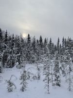 Syote National Park, Finnland