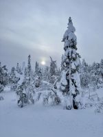 Maaselkä, Finnland &ndash; &copy; Manuel González Urrutia (Eberhardt TRAVEL)