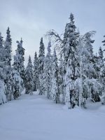 Maaselkä, Finnland &ndash; &copy; Manuel González Urrutia (Eberhardt TRAVEL)