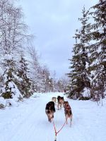 Jurmu, Finnland &ndash; &copy; Manuel González Urrutia (Eberhardt TRAVEL)