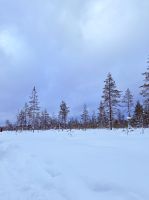 Jurmu, Finnland