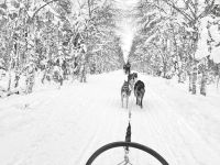 Jurmu, Finnland