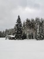 Taivalkoski, Finnland &ndash; &copy; Manuel González Urrutia (Eberhardt TRAVEL)