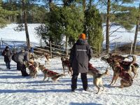 Huskyfarm 