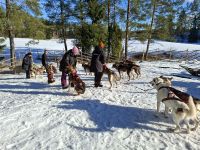 Huskyfarm 
