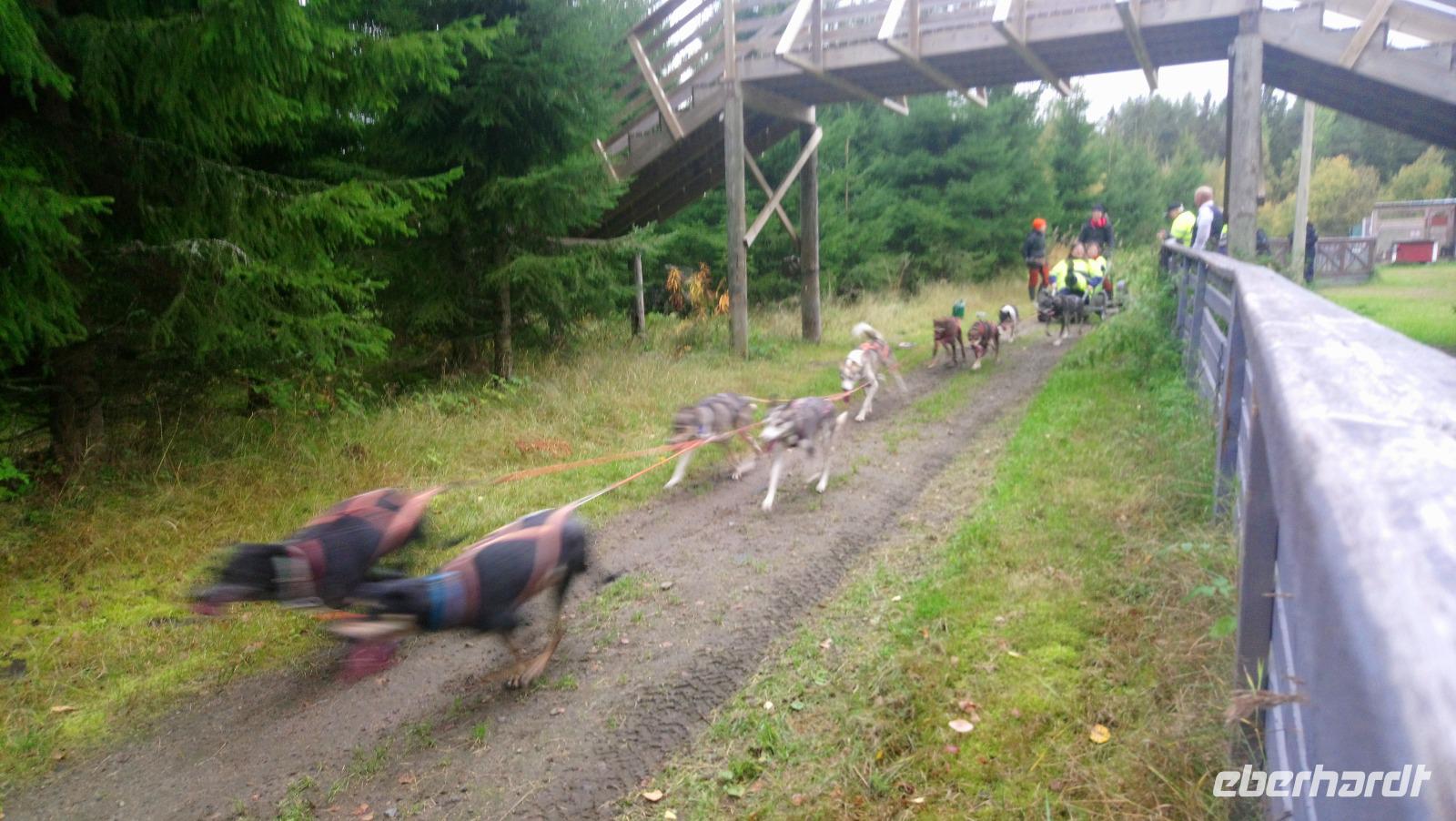 vuokatti, Huskyfarm (19) &ndash; &copy; Katrin Kerpa (Eberhardt TRAVEL)