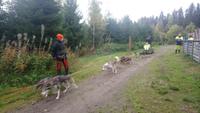 vuokatti, Huskyfarm (4) &ndash; &copy; Katrin Kerpa (Eberhardt TRAVEL)