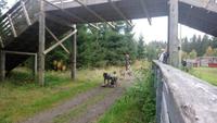vuokatti, Huskyfarm (18) &ndash; &copy; Katrin Kerpa (Eberhardt TRAVEL)