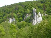 Natur in Kehlheim