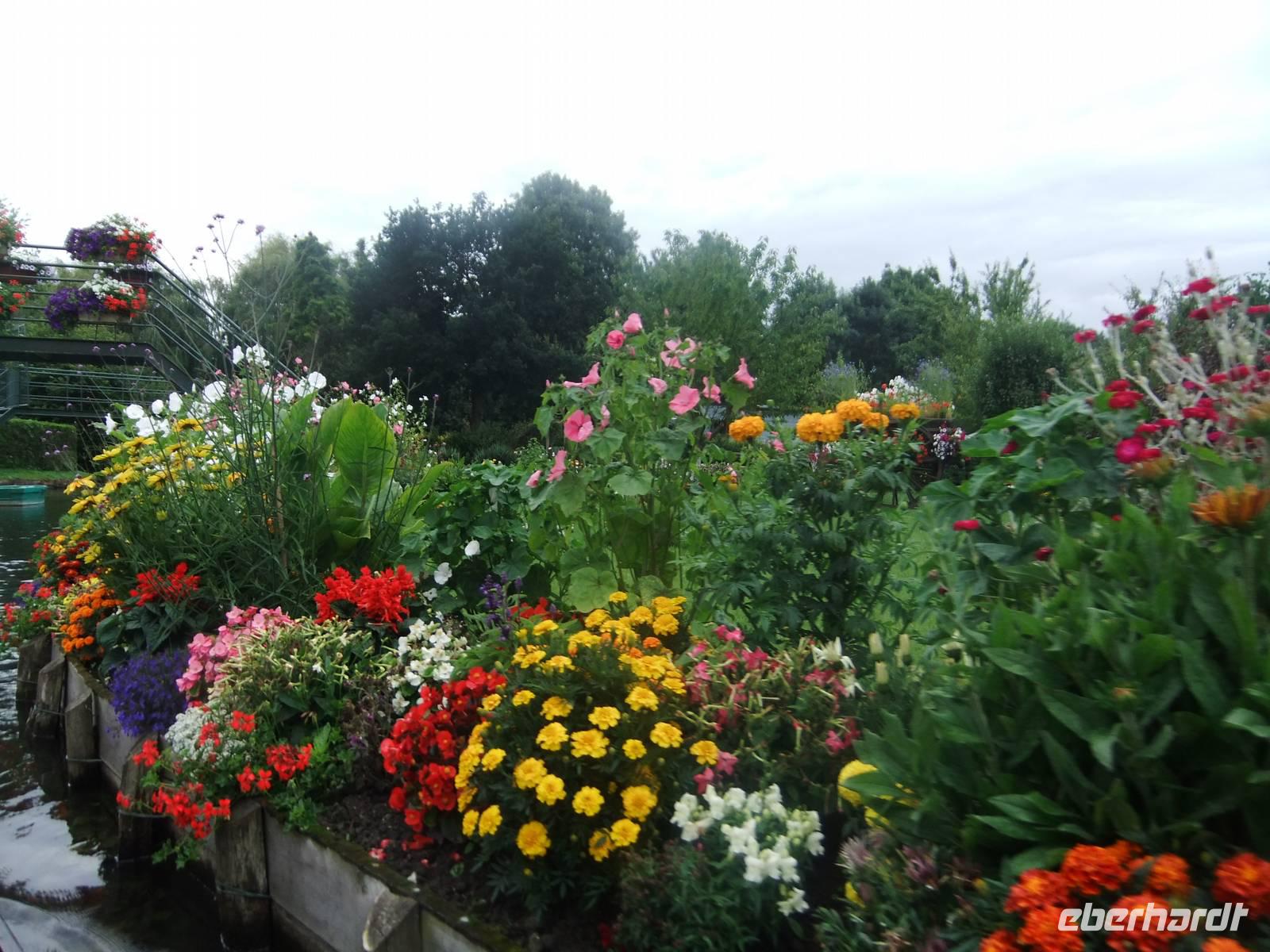 Hortillonnages &ndash; &copy; Peter Großer (Eberhardt TRAVEL)