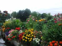 Hortillonnages &ndash; &copy; Peter Großer (Eberhardt TRAVEL)