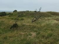 Cap Gris Nez &ndash; &copy; Peter Großer (Eberhardt TRAVEL)