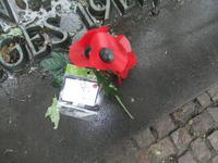 Langemark. Die legendäre Mohnblume der Engländer &ndash; &copy; Peter Großer (Eberhardt TRAVEL)