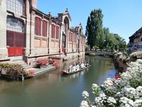 Colmar-Markthalle &ndash; &copy; Ingrid Langer (Eberhardt TRAVEL)