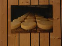Fromagerie Graine de Lait Lapoutroie &ndash; &copy; Ingrid Langer (Eberhardt TRAVEL)
