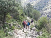 typische Wanderwege