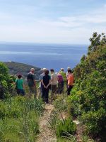 Cap Corse &ndash; &copy; Franciska Bauer (Eberhardt TRAVEL)