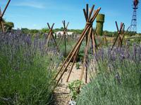 Bourdaisiere &ndash; &copy; Steffen Mucke (Eberhardt TRAVEL)