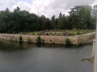 Schloss Chenonceau &ndash; &copy; Alexander Behling (Eberhardt TRAVEL)