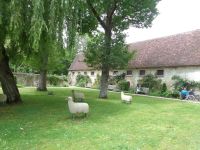 ChenonceauGarten1 &ndash; &copy; Barbara Mihut (Eberhardt TRAVEL)