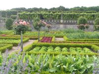 GärtenVillandry5 &ndash; &copy; Barbara Mihut (Eberhardt TRAVEL)