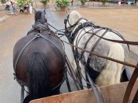 Stadtrundfahrt ! &ndash; &copy; Roswitha Zytowski (Eberhardt TRAVEL)