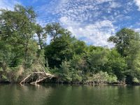 Am Ufer des Cher &ndash; &copy; Roswitha Zytowski (Eberhardt TRAVEL)