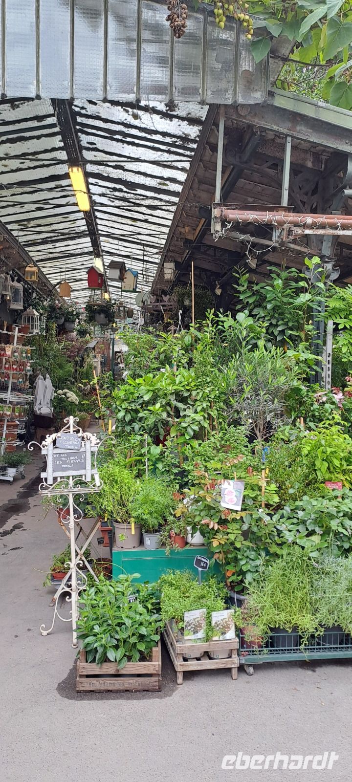 Paris, Blumenmarkt Ile de la Cite &ndash; &copy; Katja Haubold (Eberhardt TRAVEL)