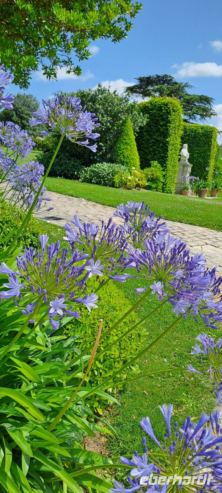 Amboise, Garten &ndash; &copy; Katja Haubold (Eberhardt TRAVEL)