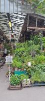 Paris, Blumenmarkt Ile de la Cite &ndash; &copy; Katja Haubold (Eberhardt TRAVEL)