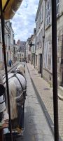 Blois, Kutschfahrt &ndash; &copy; Katja Haubold (Eberhardt TRAVEL)