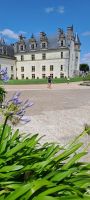 Amboise, Schloss &ndash; &copy; Katja Haubold (Eberhardt TRAVEL)
