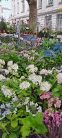 Tours, Blumenmarkt &ndash; &copy; Katja Haubold (Eberhardt TRAVEL)