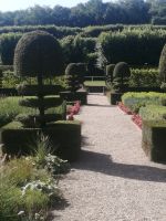 Im Garten von Villandry &ndash; &copy; Alicia Eckert (Eberhardt TRAVEL)