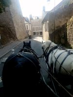 Mit 2 PS durch Blois &ndash; &copy; Alicia Eckert (Eberhardt TRAVEL)