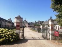Schloss Cheverny - Gestüt &ndash; &copy; Alicia Eckert (Eberhardt TRAVEL)