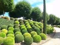 Schloss Amboise