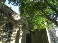 Temple Neuf &ndash; &copy; Martin Brützke (Eberhardt TRAVEL)