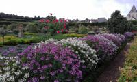 Villandry Garten1 &ndash; &copy; Katrin Kerpa (Eberhardt TRAVEL)