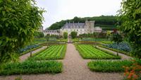 Gärten von Villandry5 &ndash; &copy; Katrin Kerpa (Eberhardt TRAVEL)