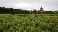Gärten von Villandry7 &ndash; &copy; Katrin Kerpa (Eberhardt TRAVEL)